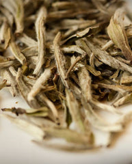WHITE TEA