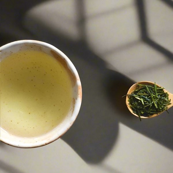 88th Night Shincha Japanese Green Tea – Clipper Ship Tea Co