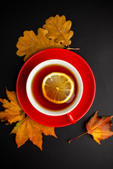 AUTUMN FAVORITES